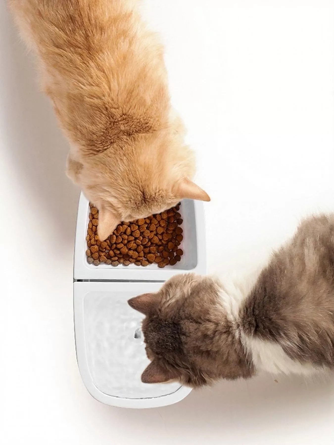 1e475290-5a00-4e9e-b39c-7ea2c9c2c668-Max-Origin