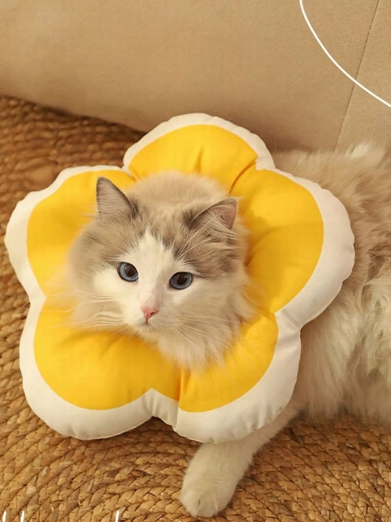 5e59fb6b-46f6-486a-b9c4-192c4b359573-Max-Origin