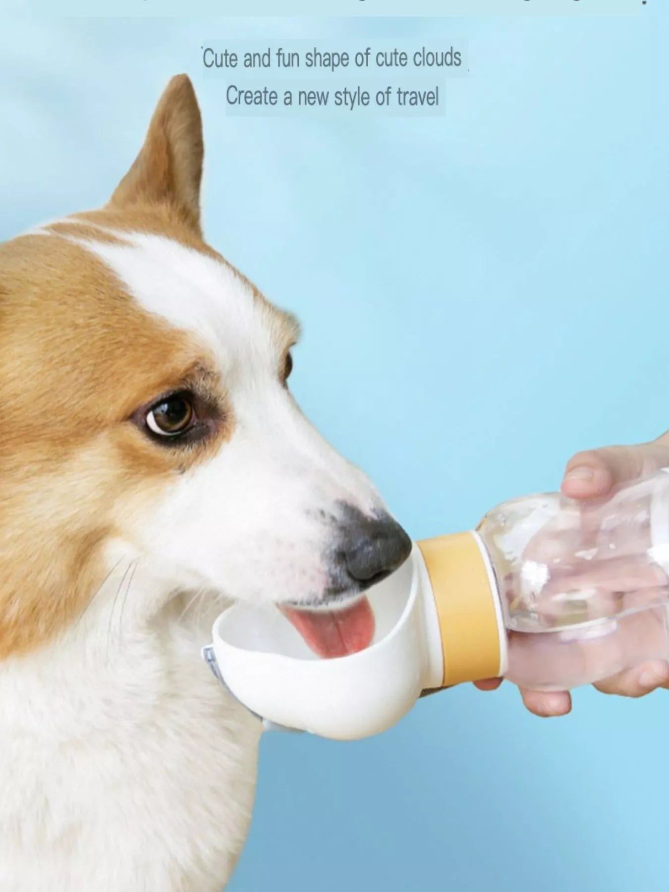 648b5aa0-e67a-4842-9b97-d8fe05c771ea-Max-Origin