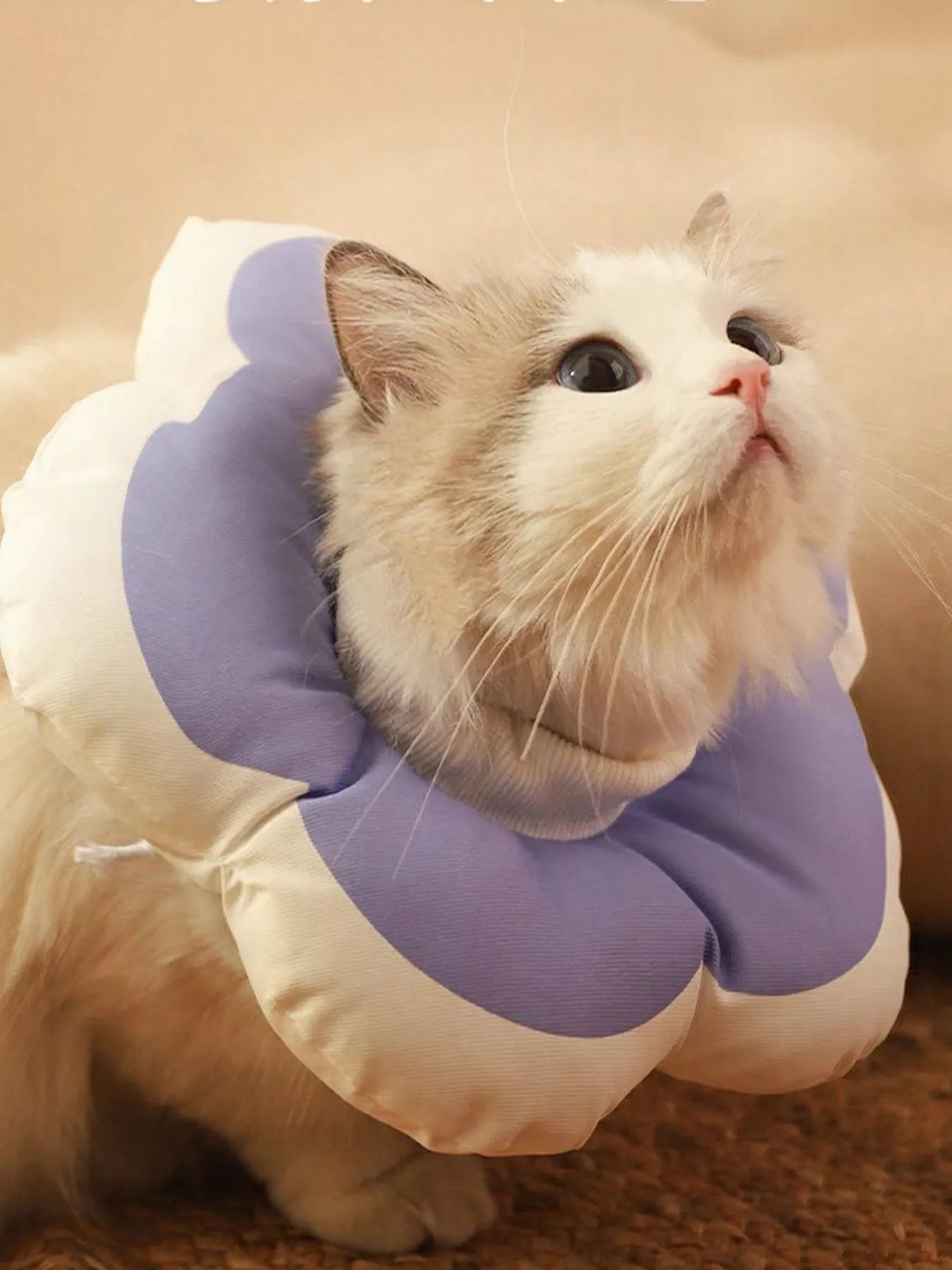 6bb6010c07f74dae8ce71fedbf9fe9dd-Max-Origin