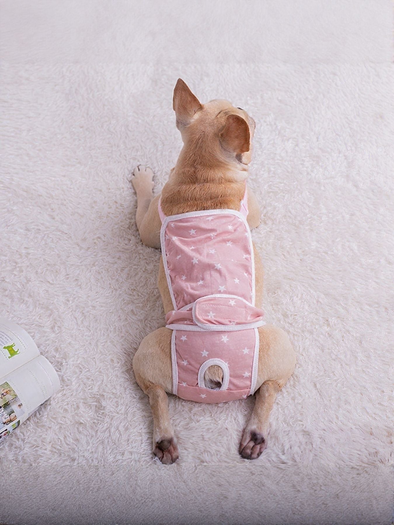 7df2d2d8-edad-4648-9a1e-d6dbc402a112-Max