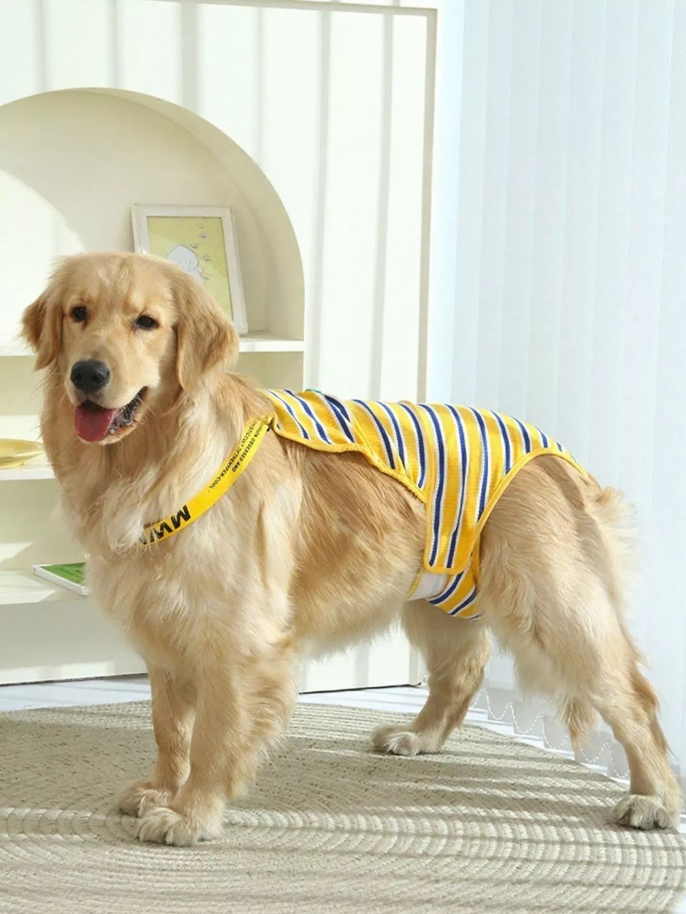 a2c06f13-b666-4ad3-bc19-480697a99f2b-Max-Origin