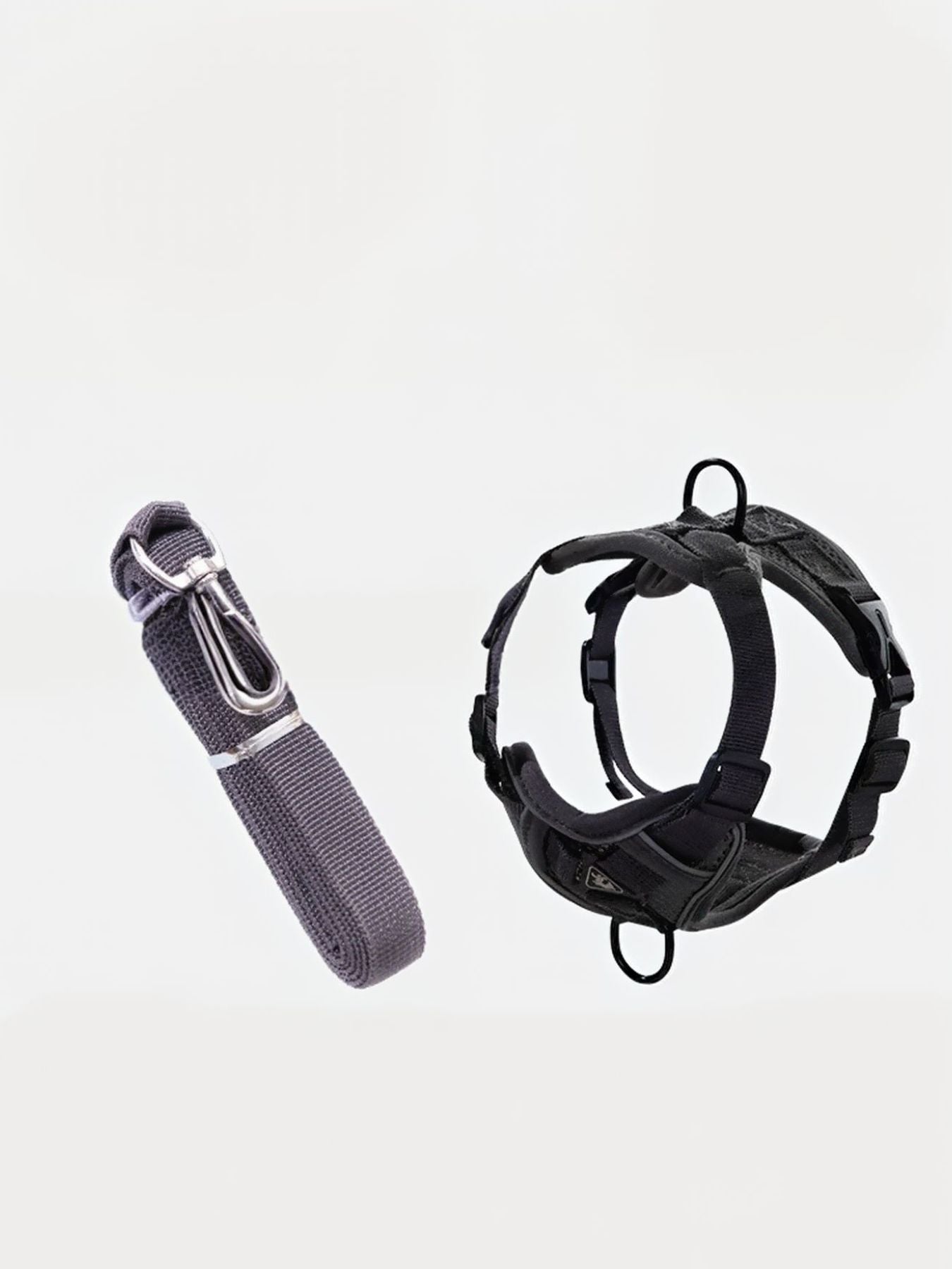 cc2d2c87-a316-4dd0-ac58-e7253514646c-Max