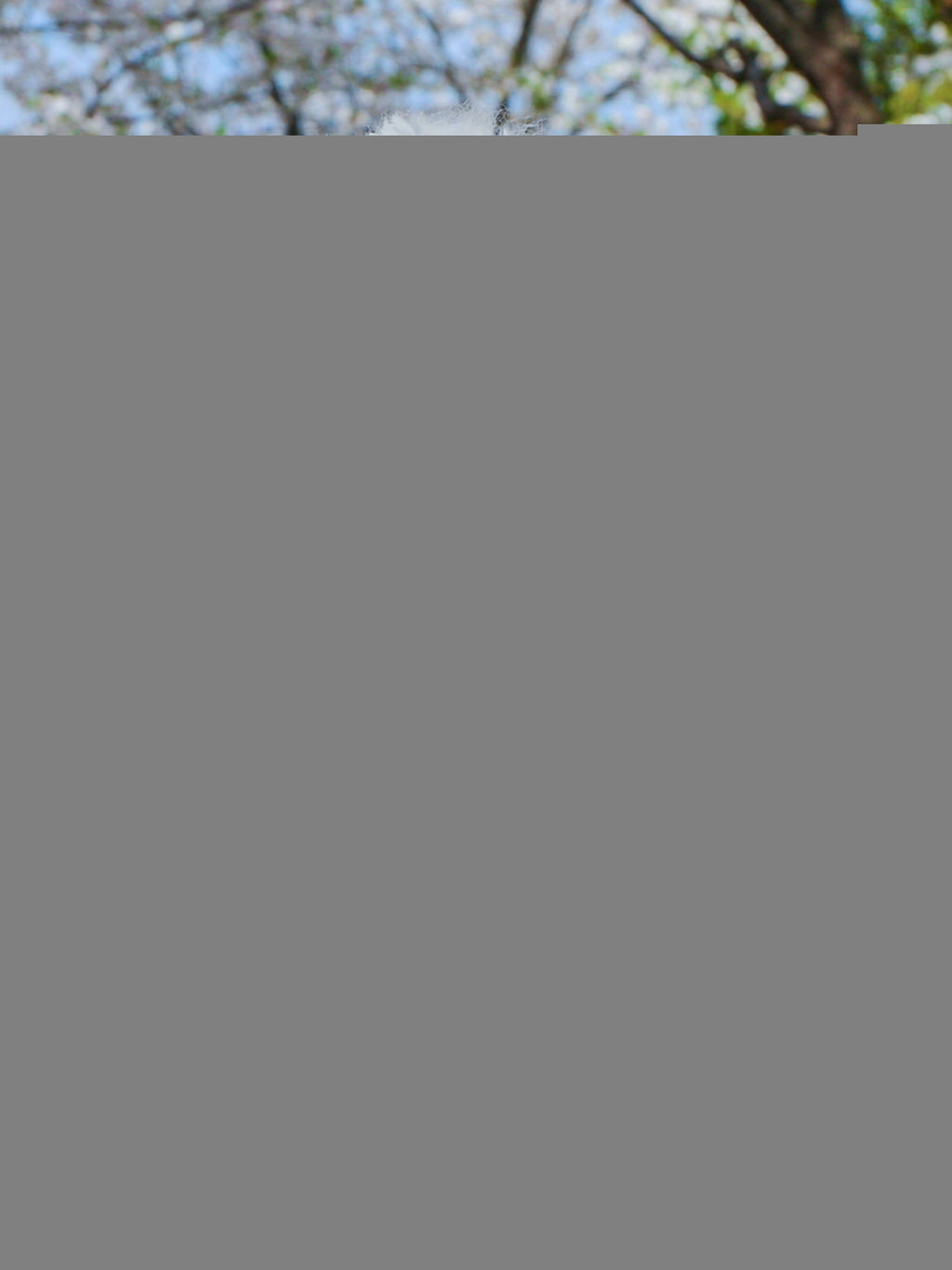 f75e1522-dba7-4cf2-b41e-99879903a499-Max